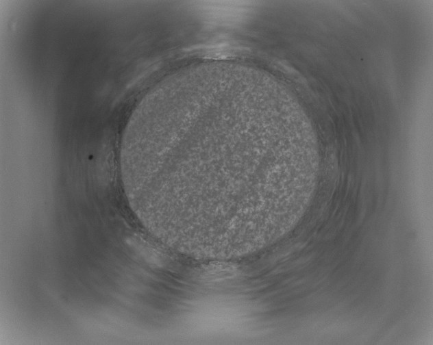 X0000072501446200608111616