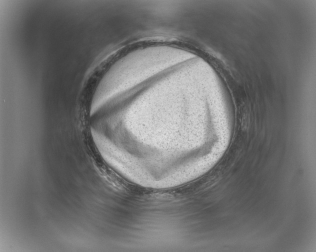 X0000072501448200608111616