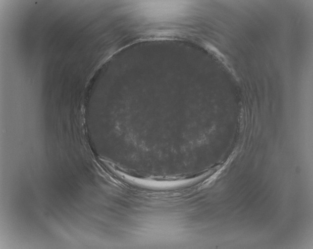 X0000072501449200608111616