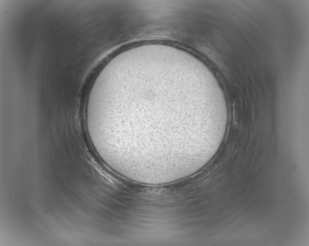 X0000072501452200608111615