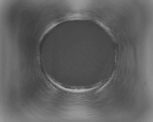 X0000072501453200608111615