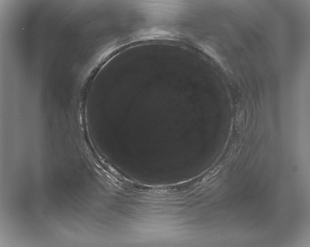 X0000072501455200608111615