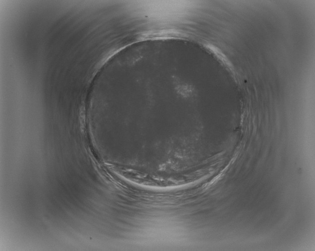 X0000072501457200608111615