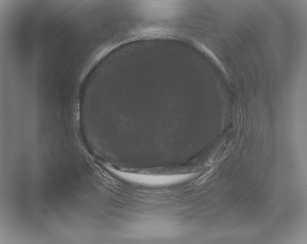 X0000072501461200608111615