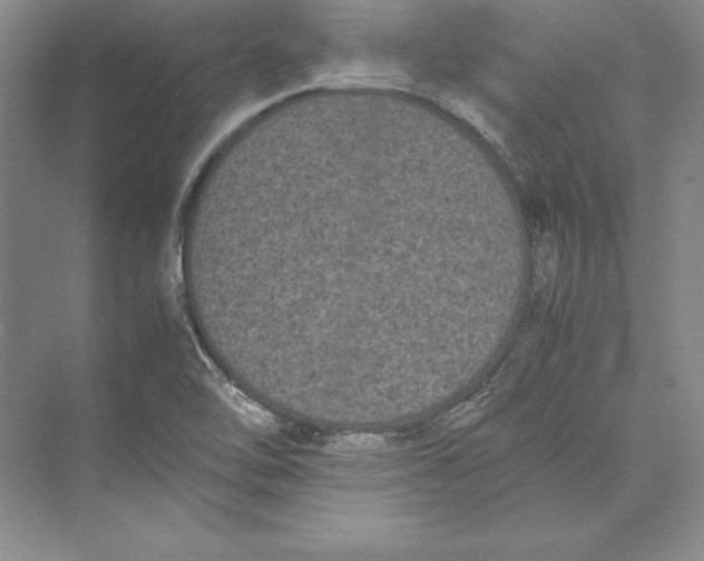 X0000072501462200608111615