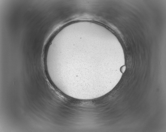 X0000072501464200608111615