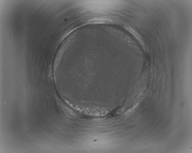 X0000072501465200608111615