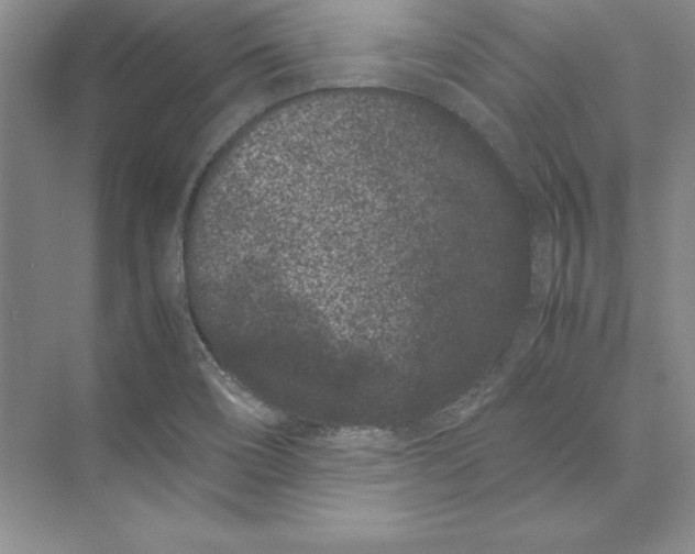 X0000072501466200608111615