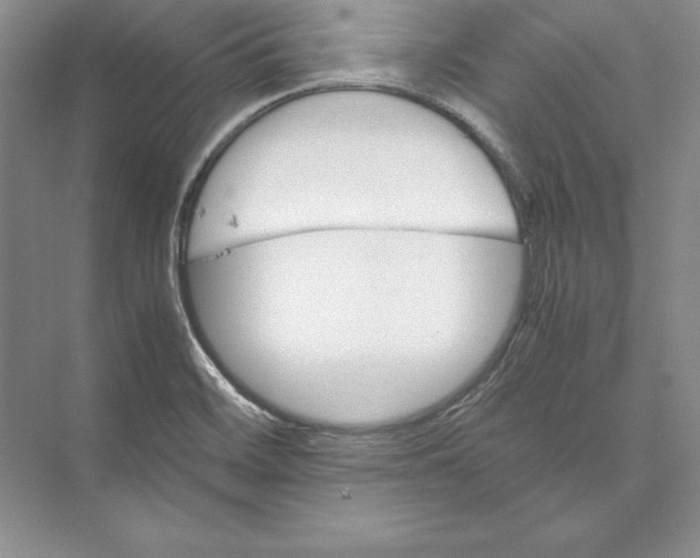 X0000072501468200608111615