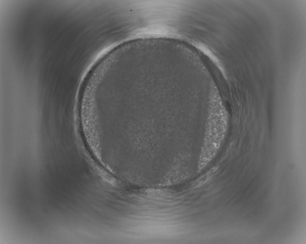 X0000072501469200608111615