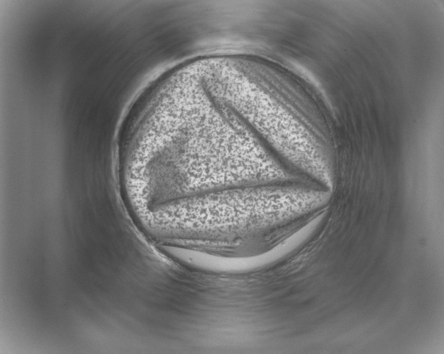 X0000072501472200608111615