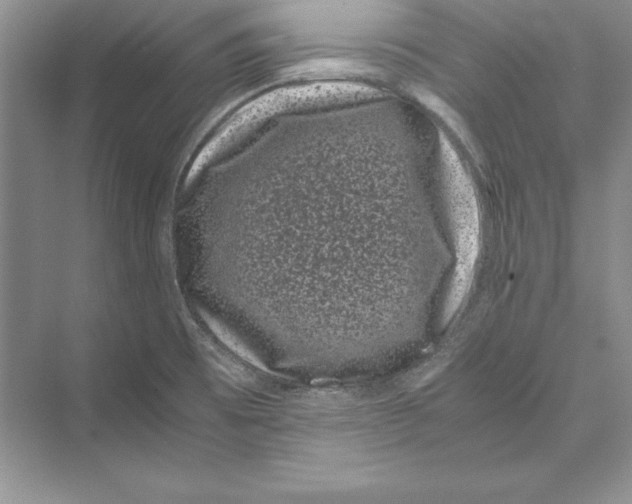 X0000072501473200608111615