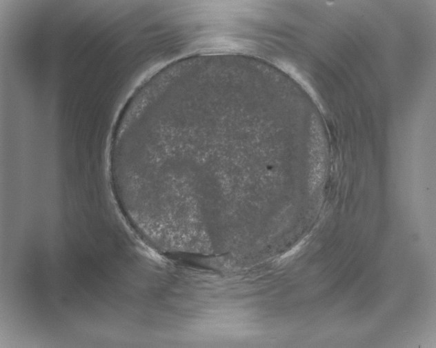 X0000072501477200608111615