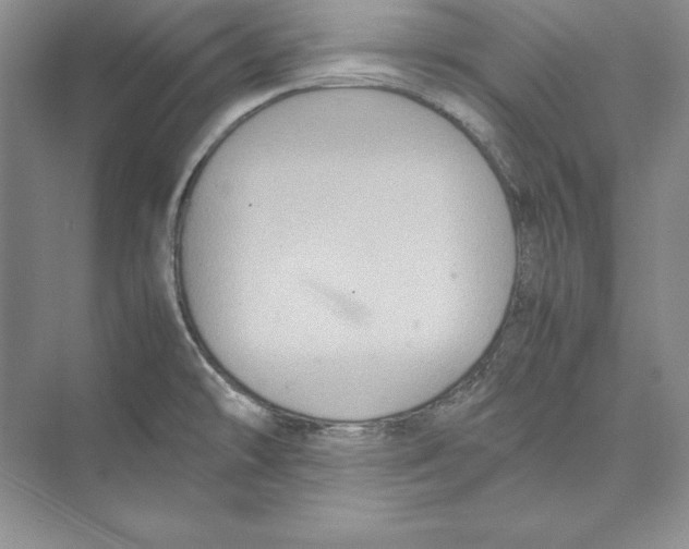 X0000072501478200608111615