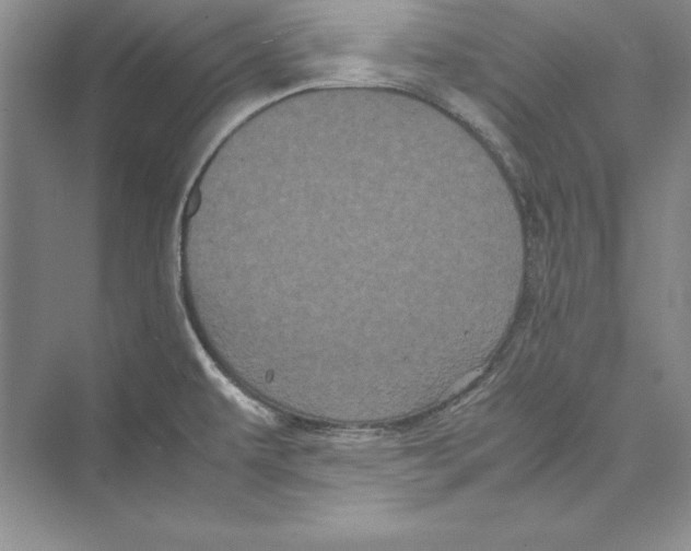 X0000072501479200608111615