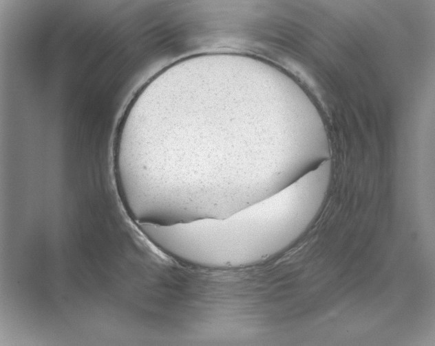 X0000072501480200608111615