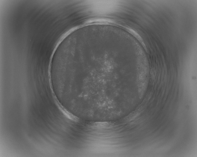 X0000072501482200608111615