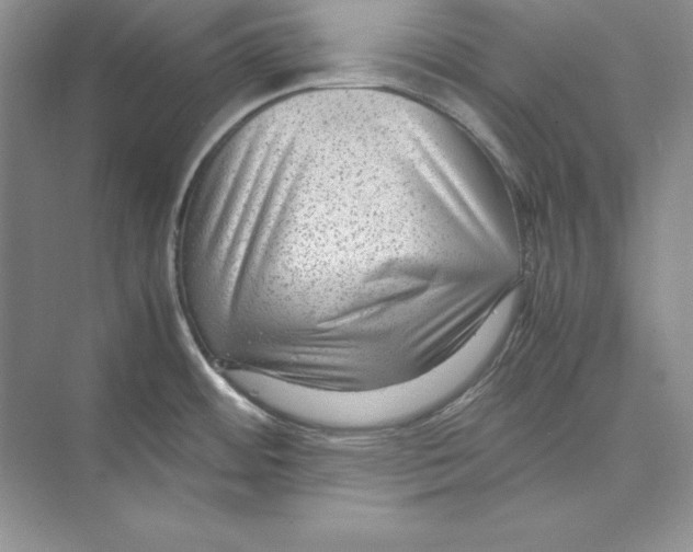 X0000072501484200608111615