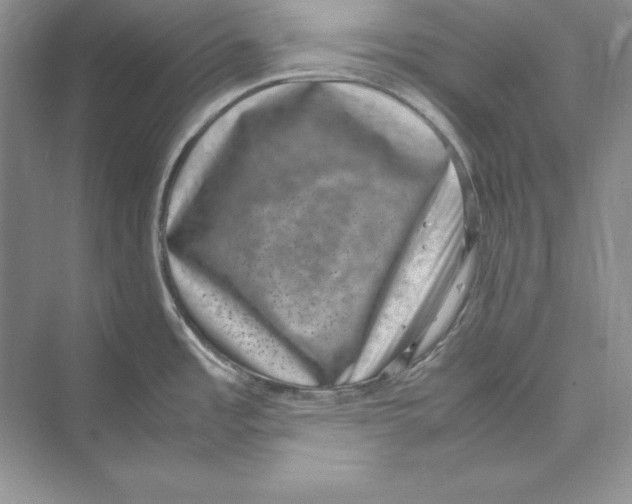 X0000072501485200608111615