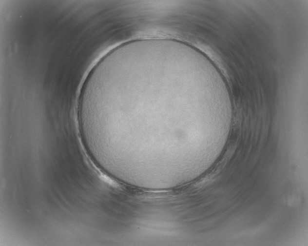 X0000072501486200608111615