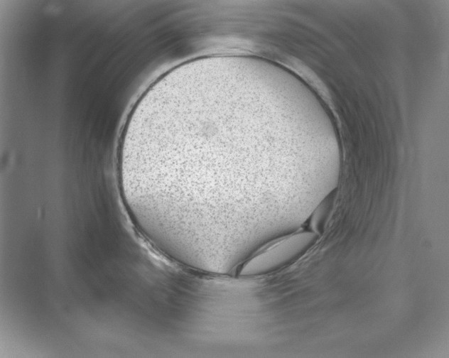 X0000072501488200608111615