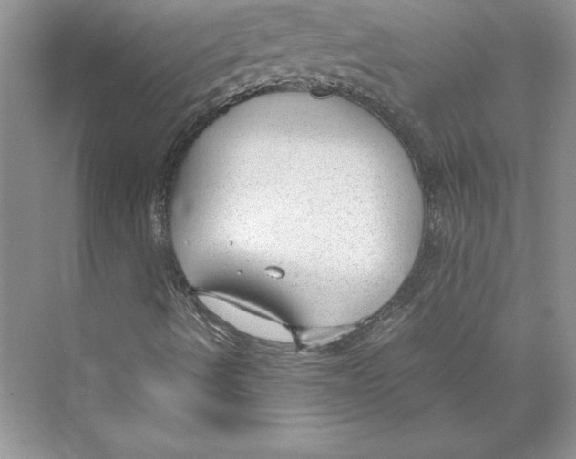 X0000072501490200608111614