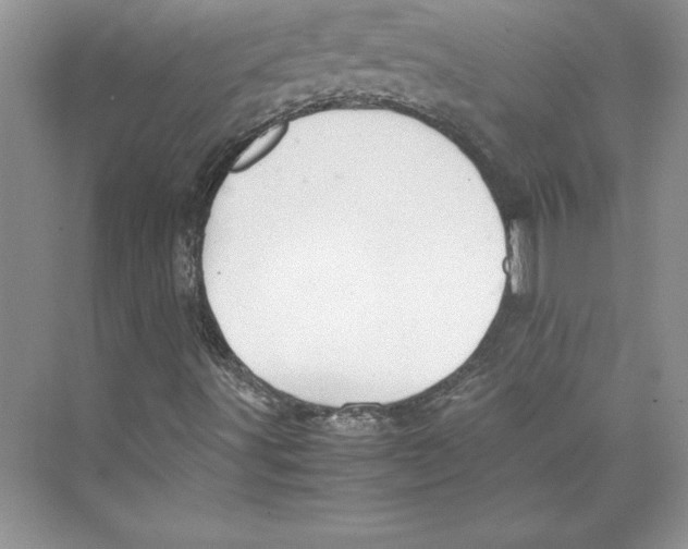 X0000072501491200608111614