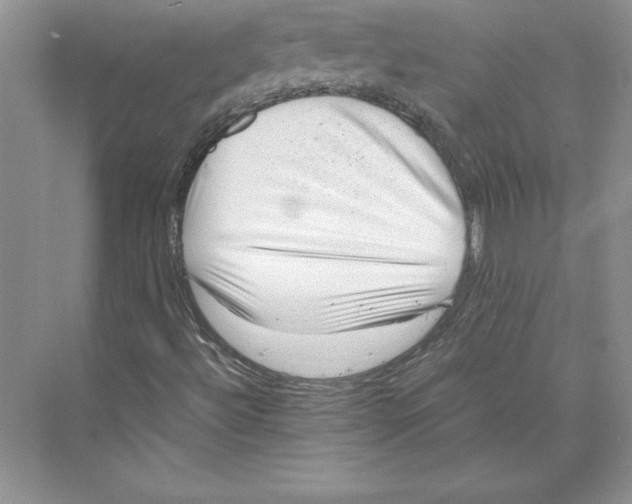 X0000072501492200608111614