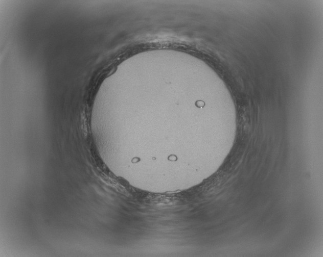 X0000072501493200608111614