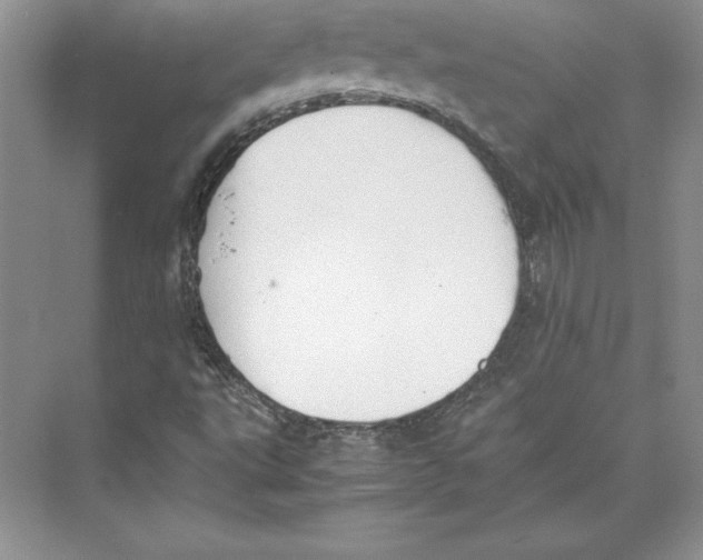 X0000072501495200608111614