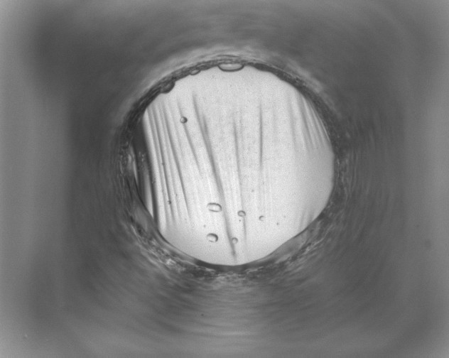 X0000072501496200608111614