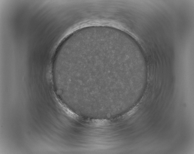 X0000072501498200608111614