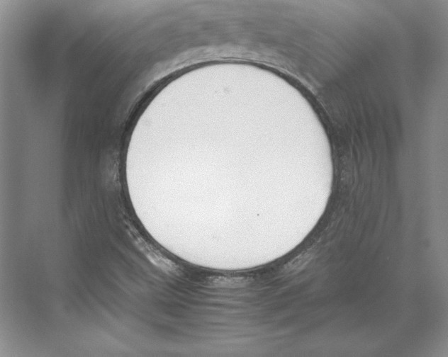 X0000072501499200608111614