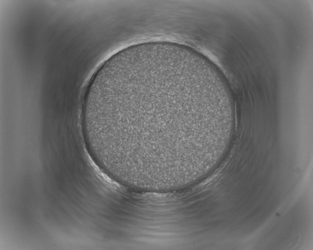 X0000072501500200608111614