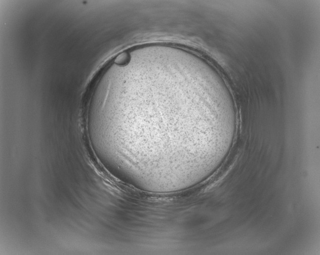 X0000072501501200608111614