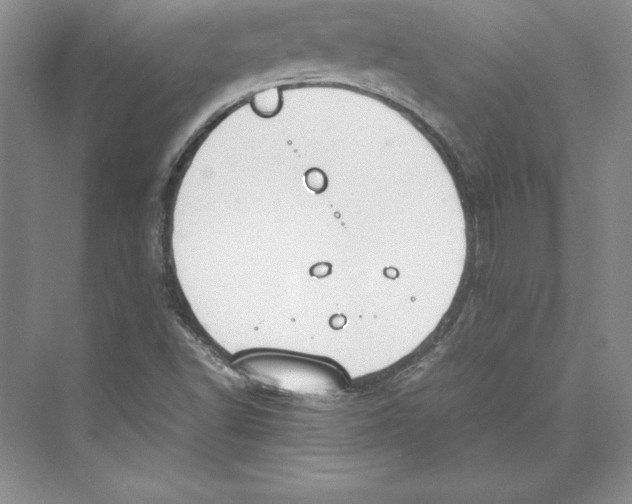 X0000072501502200608111614