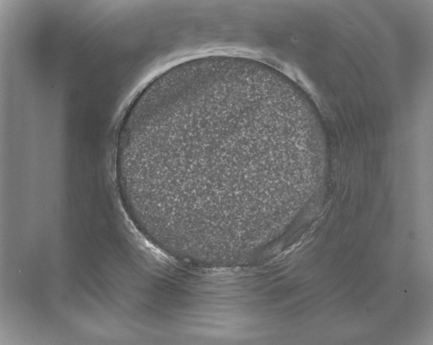 X0000072501504200608111614