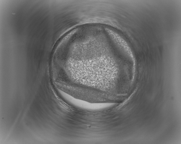 X0000072501505200608111614