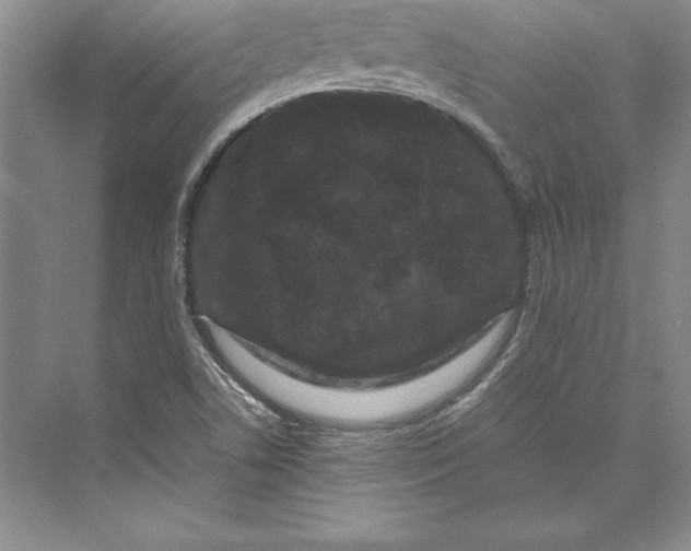 X0000072501506200608111614