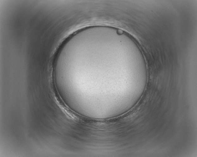 X0000072501507200608111614