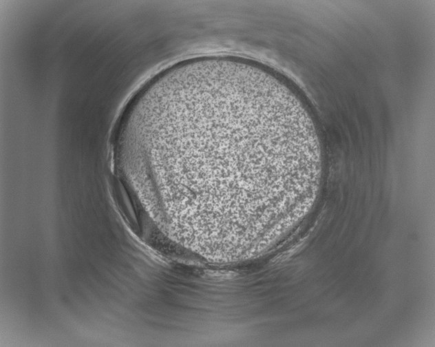 X0000072501509200608111614