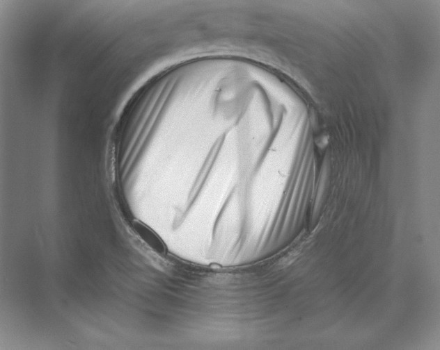 X0000072501510200608111614