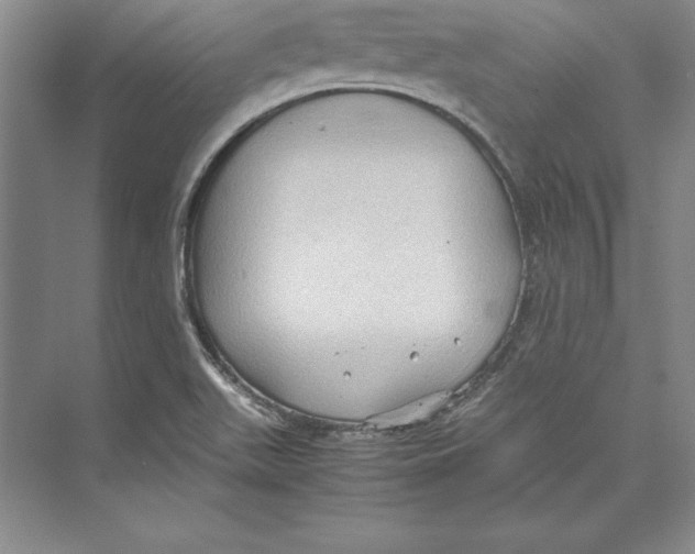 X0000072501511200608111614