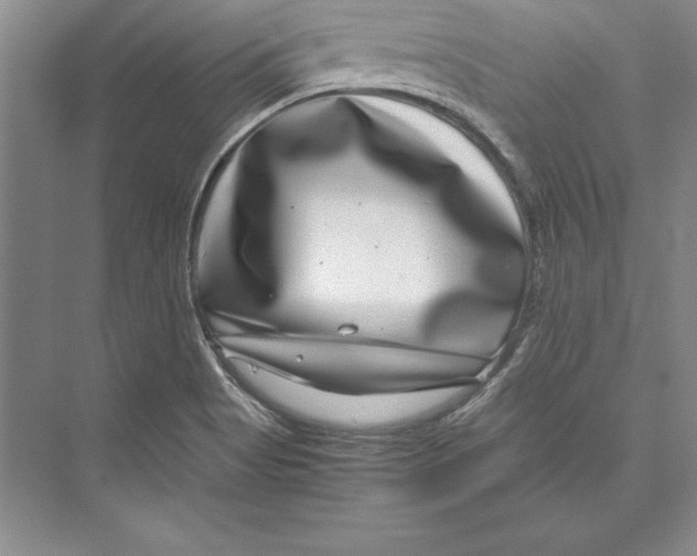 X0000072501513200608111614