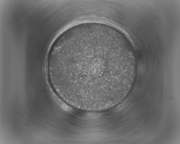 X0000072501514200608111614