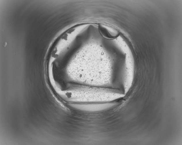 X0000072501517200608111615