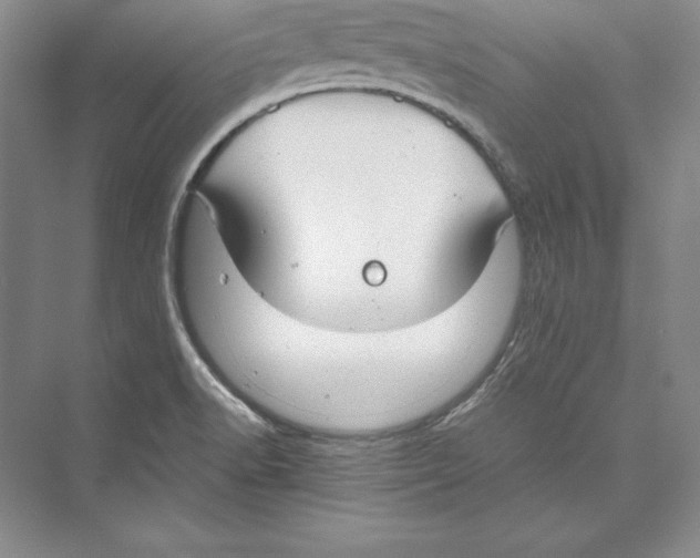 X0000072501518200608111615