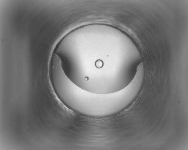 X0000072501520200608111615