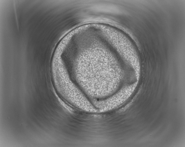 X0000072501521200608111615