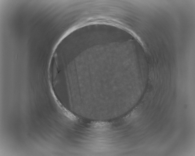 X0000072501522200608111615